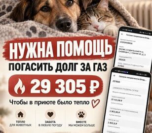 Нужна помощь 